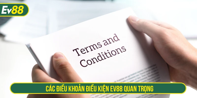 Các điều khoản điều kiện EV88 quan trọng
