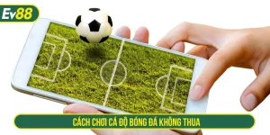 cách cá độ bóng đá không thua