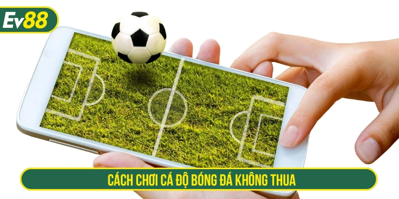 cách cá độ bóng đá không thua
