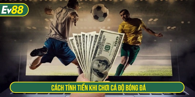 Cách tính tiền cá độ theo luật cơ bản 