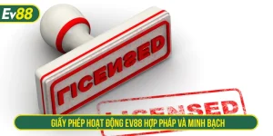 Giấy phép hoạt động EV88