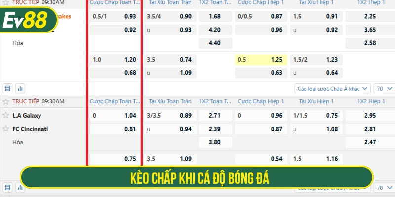 Tìm hiểu về các loại kèo chấp khi cá độ bóng đá