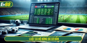 Luật cá độ bóng đá cơ bản