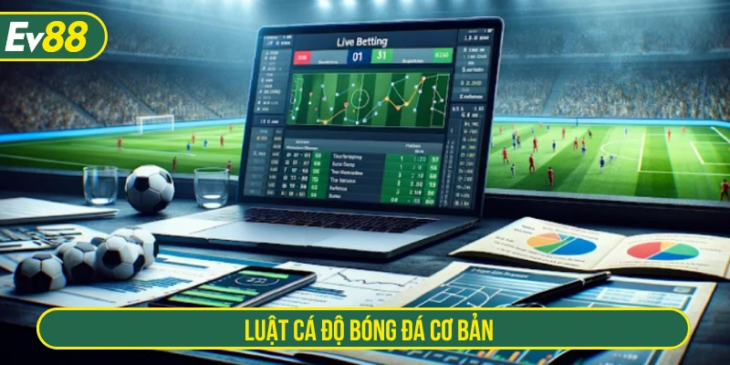 Luật cá độ bóng đá cơ bản
