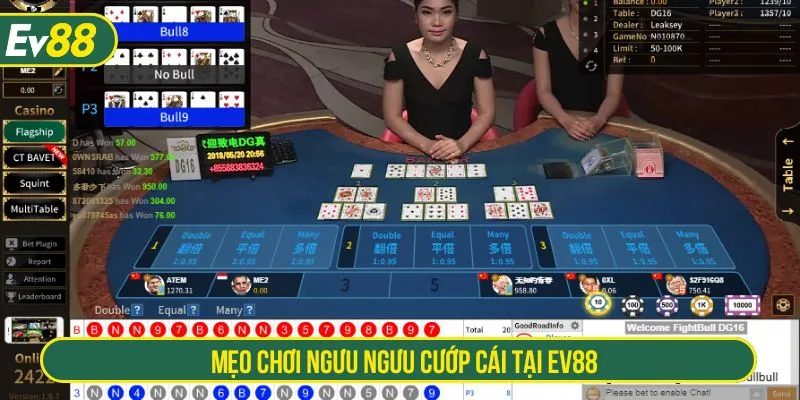 Mẹo chơi Ngưu Ngưu cướp cái tại EV88