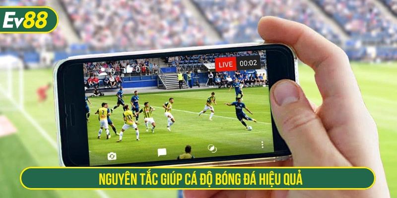 Nguyên tắc giúp người chơi cá độ hiệu quả 