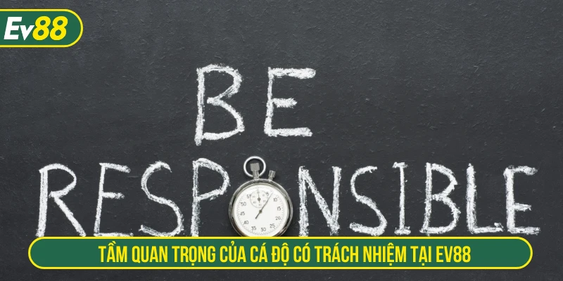 Tầm quan trọng của cá độ có trách nhiệm tại EV88