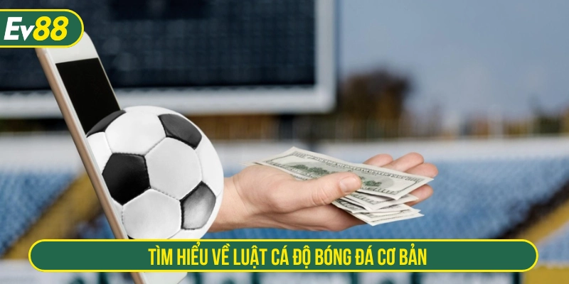 Tìm hiểu về luật chơi cá độ bóng đá cơ bản 