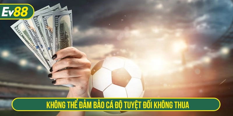 Việc cá độ bóng đá không thể đảm bảo 100% không thua 
